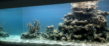 Koh Samui reef aquarium