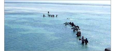 Local team collecting live rock from the reef for the aquarium